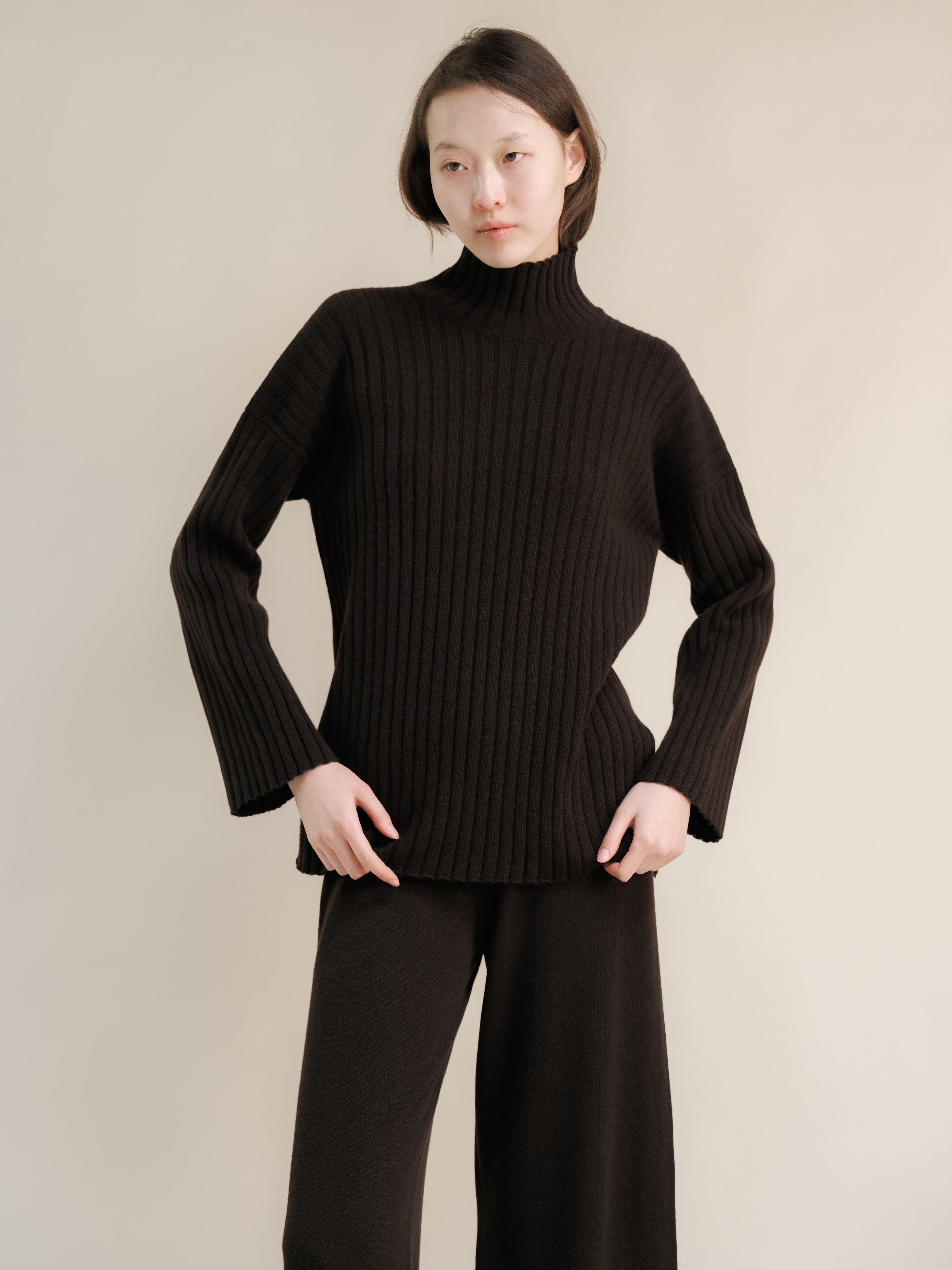 Cashmere Mix Ribbed High Neck