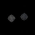 Cutwork Pattern Earrings